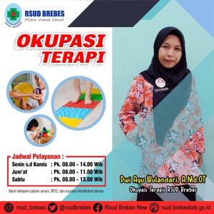 Dwi Ayu Wulandari, AMd.OT